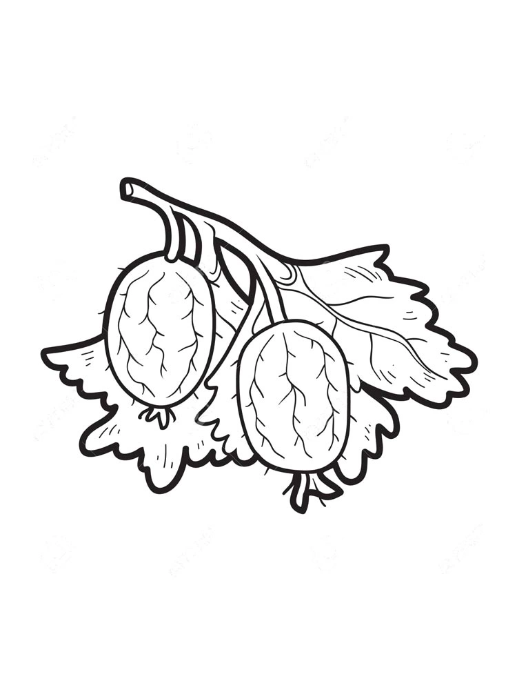 Two tiny gooseberries coloring book